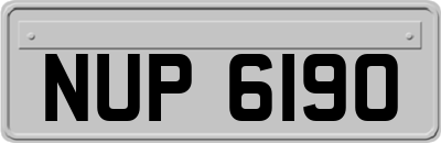 NUP6190