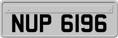 NUP6196