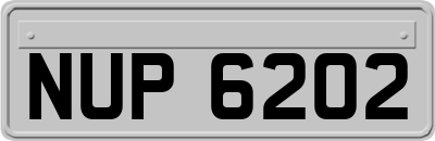 NUP6202