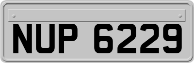 NUP6229