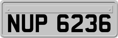 NUP6236
