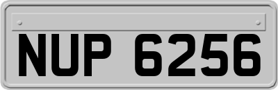 NUP6256