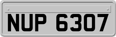 NUP6307