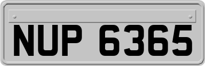 NUP6365