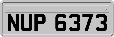 NUP6373