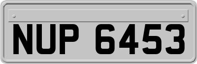 NUP6453