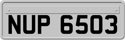 NUP6503