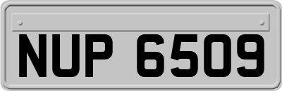 NUP6509