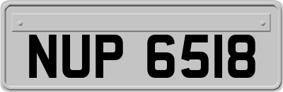 NUP6518