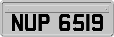 NUP6519