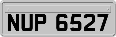 NUP6527