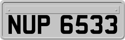 NUP6533