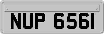 NUP6561