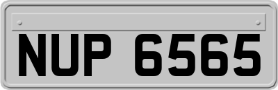 NUP6565