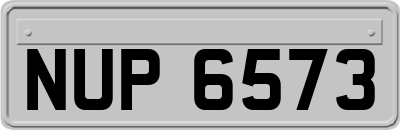 NUP6573