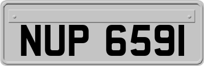 NUP6591
