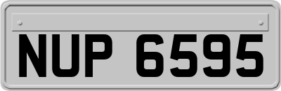NUP6595