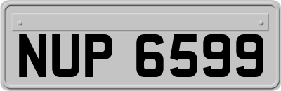 NUP6599