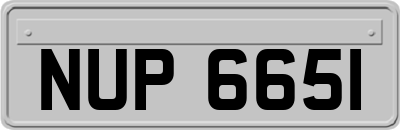 NUP6651