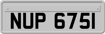 NUP6751