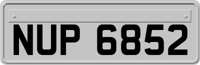 NUP6852