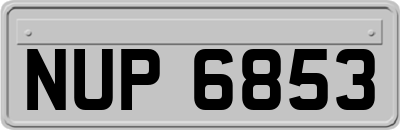 NUP6853