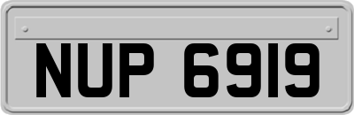 NUP6919