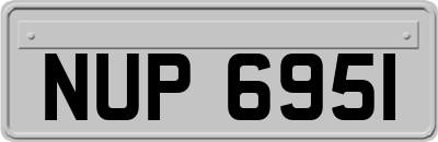 NUP6951