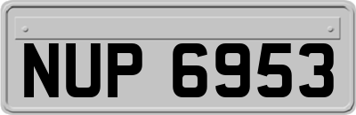 NUP6953