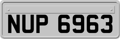 NUP6963