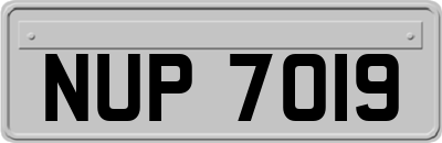 NUP7019
