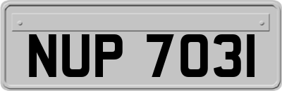 NUP7031