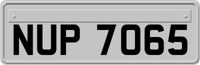 NUP7065