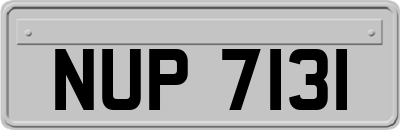 NUP7131