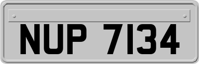 NUP7134