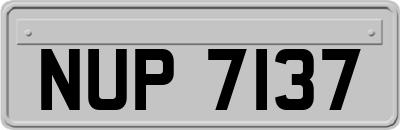 NUP7137
