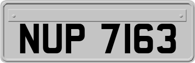 NUP7163