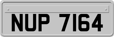 NUP7164