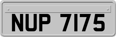 NUP7175