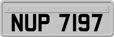 NUP7197