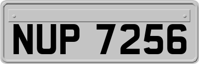 NUP7256
