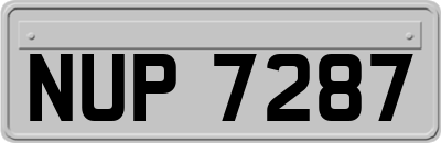 NUP7287