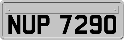 NUP7290