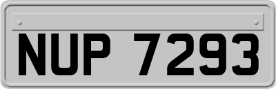 NUP7293