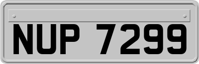 NUP7299