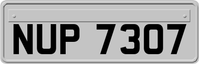 NUP7307