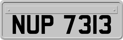 NUP7313