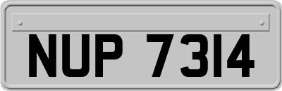 NUP7314