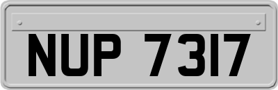 NUP7317