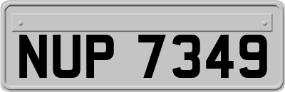 NUP7349